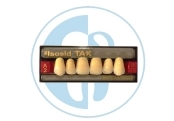 کالای دندانپزشکی دندان مصنوعی ISOSIDE TAK 