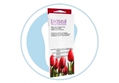 کالای دندانپزشکی فیشور سیلانت - BIOSEAL