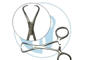 کالای دندانپزشکی شان گیر TOWEL CLAMPS 